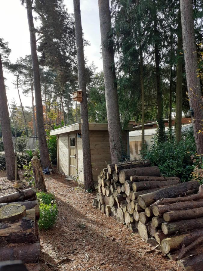 Nijlen B&B Altijd Zomer المظهر الخارجي الصورة